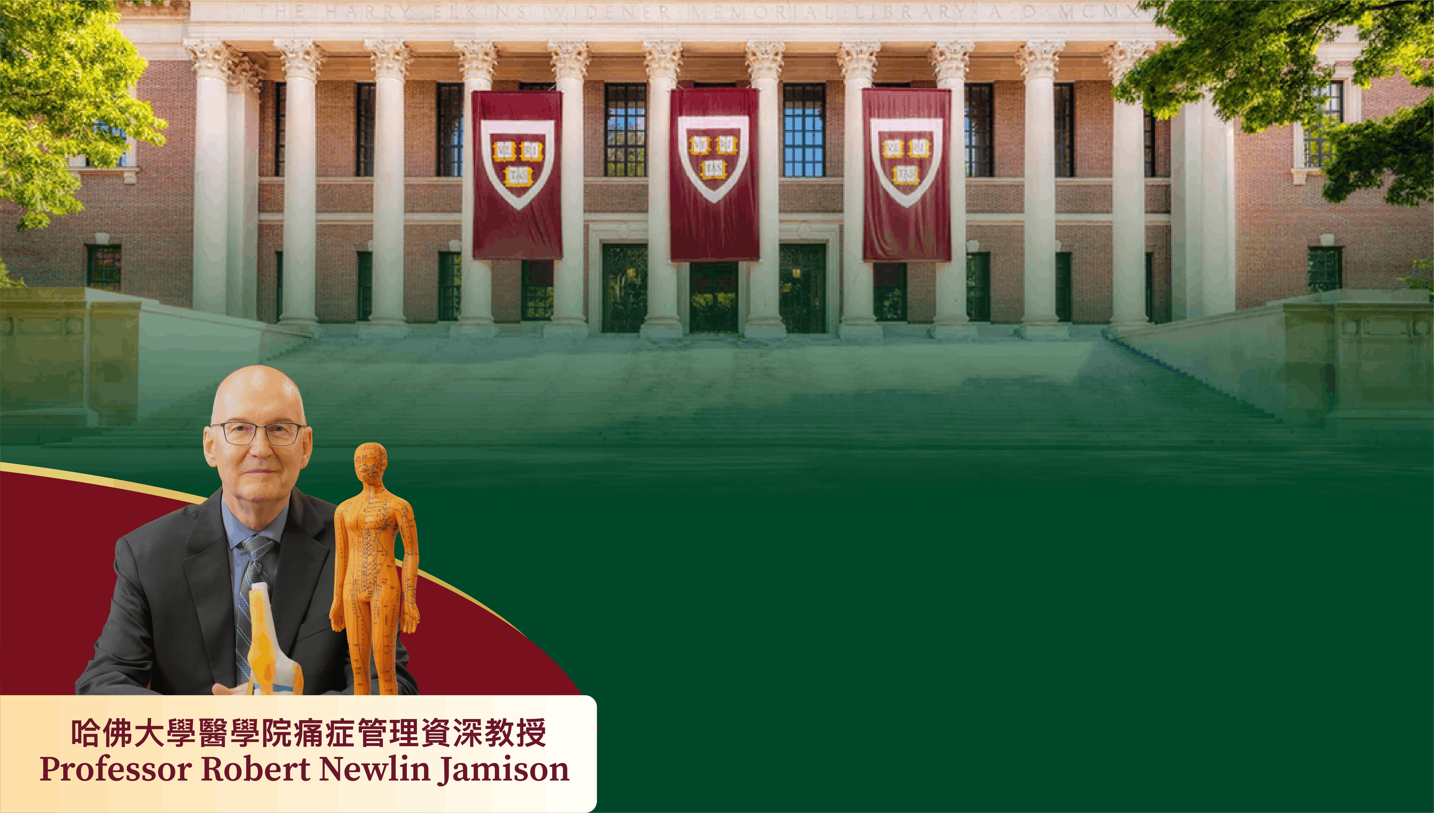 ARDS＋極速去痛技術